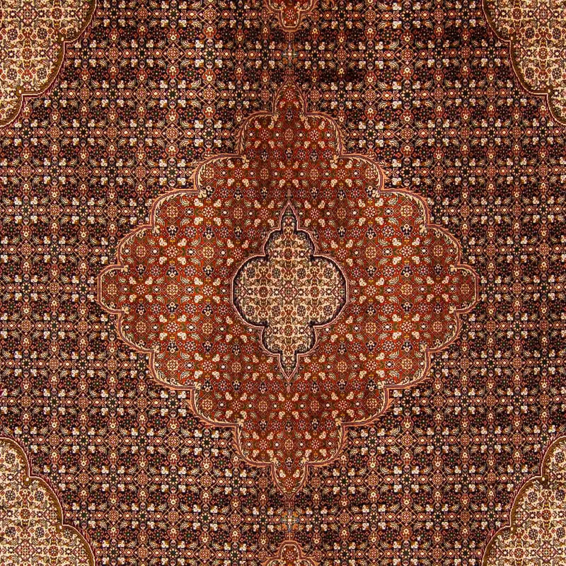 Alfombra persa - Tabriz - 390 x 295 cm - marrón