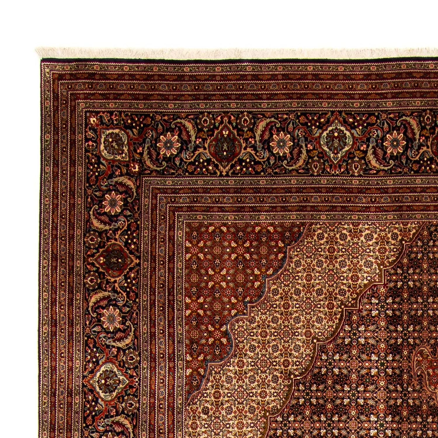 Alfombra persa - Tabriz - 390 x 295 cm - marrón