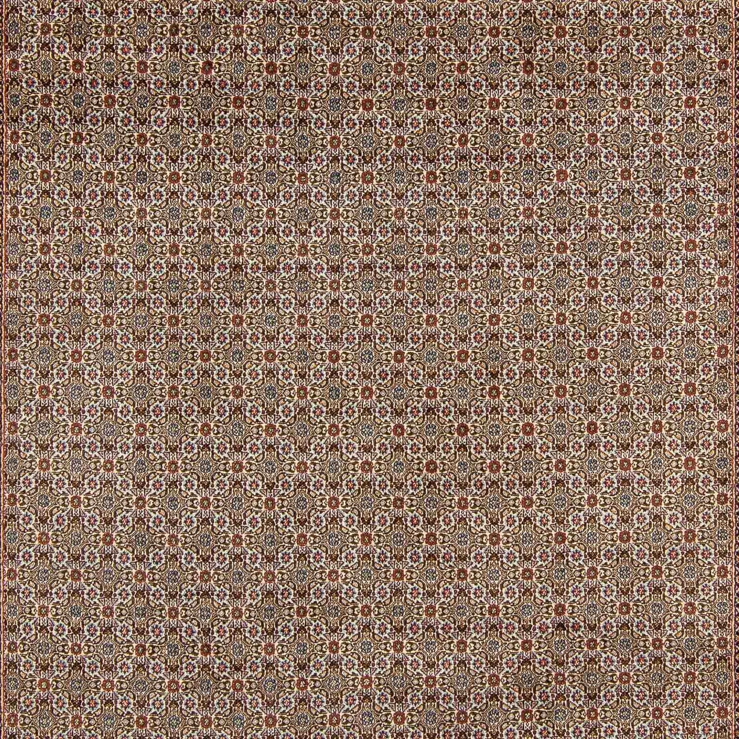 Alfombra persa - Clásica - 345 x 250 cm - multicolor