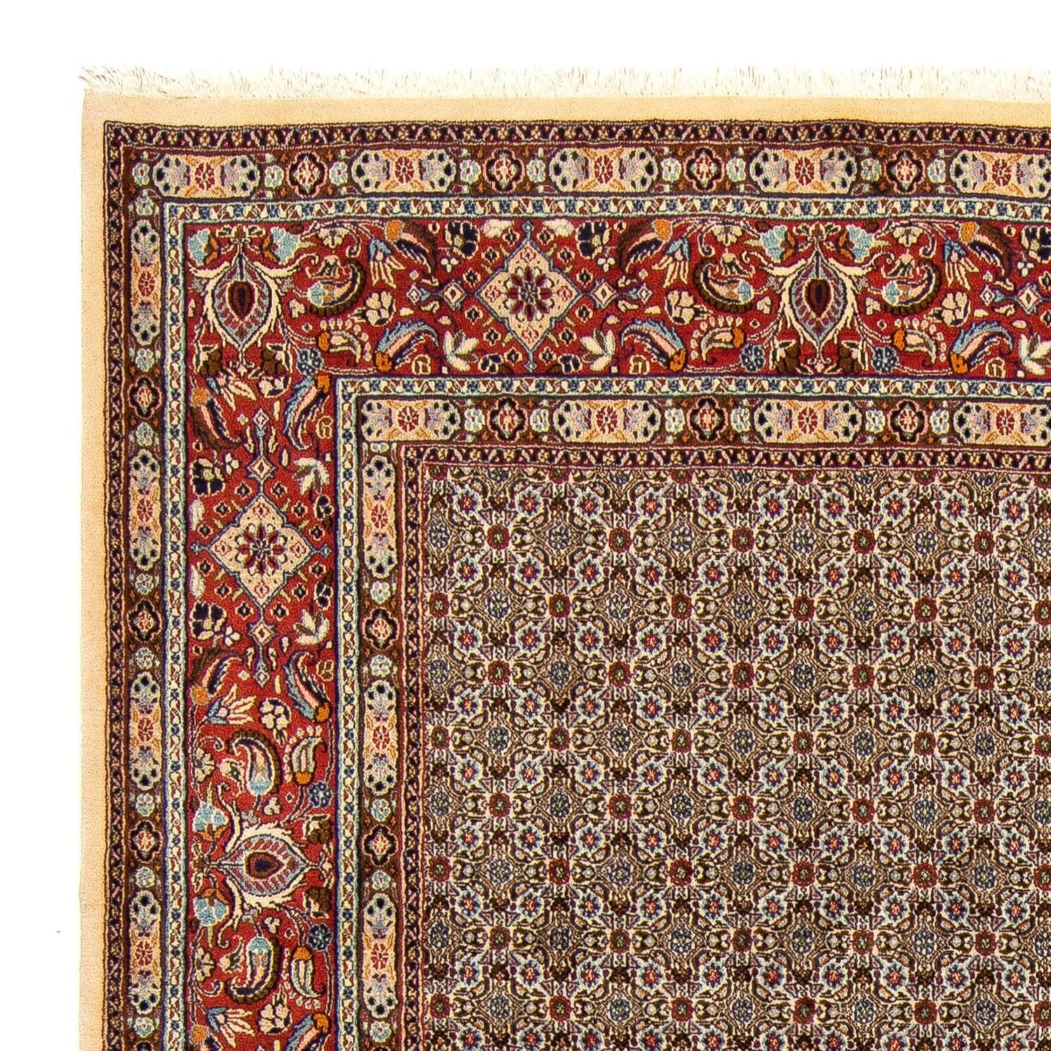 Alfombra persa - Clásica - 345 x 250 cm - multicolor