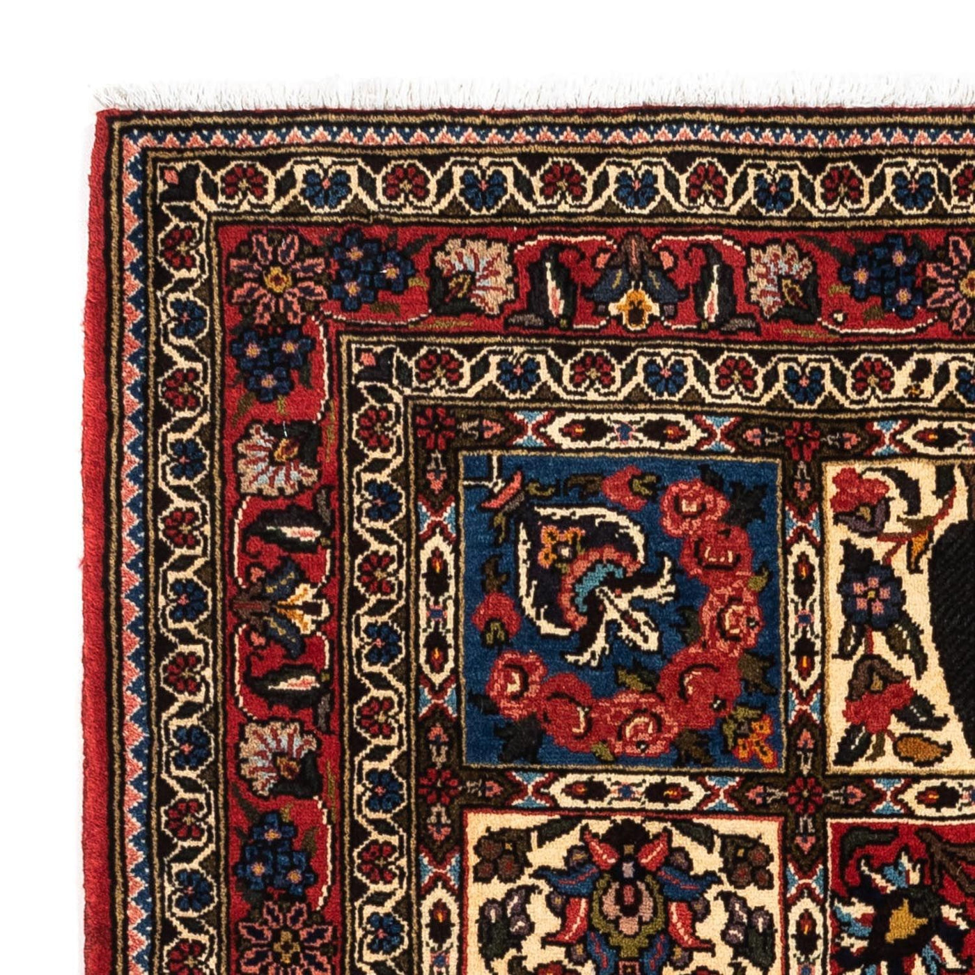 Bakhtiari Alfombra 153x103cm - Alfombra persa