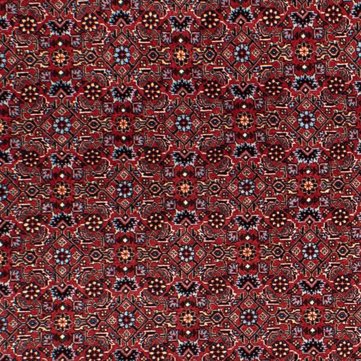 Alfombra persa - Bidjar redondo  - 160 x 160 cm - rojo oscuro