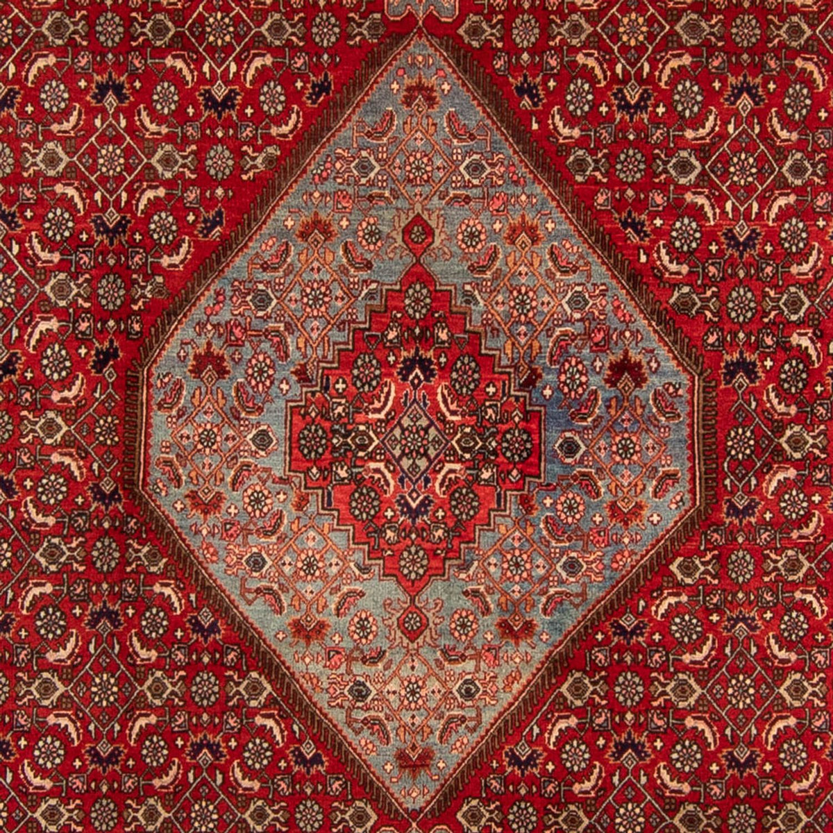 Alfombra persa - Bidjar - 332 x 228 cm - rojo oscuro