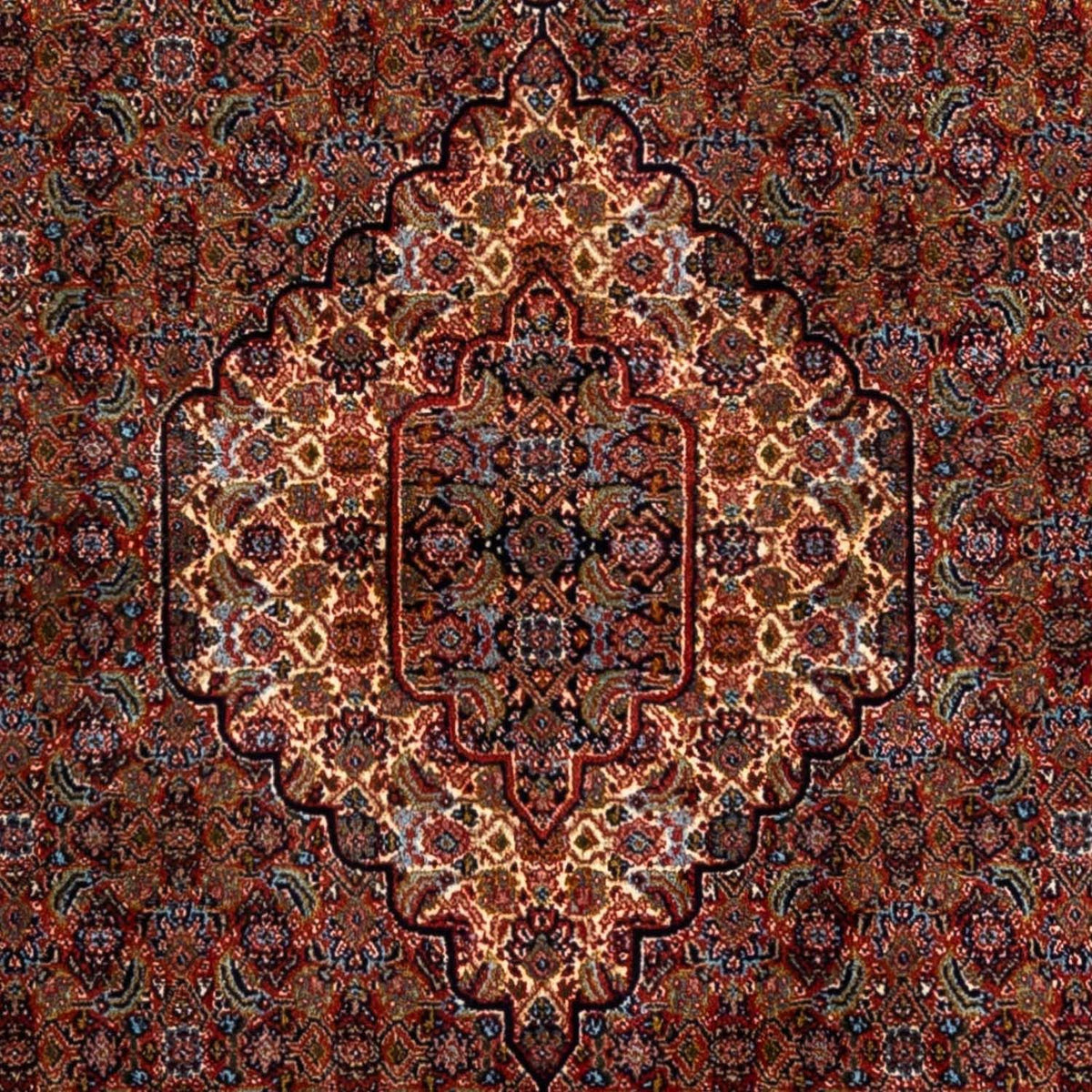 Alfombra persa - Nómada - 280 x 205 cm - marrón