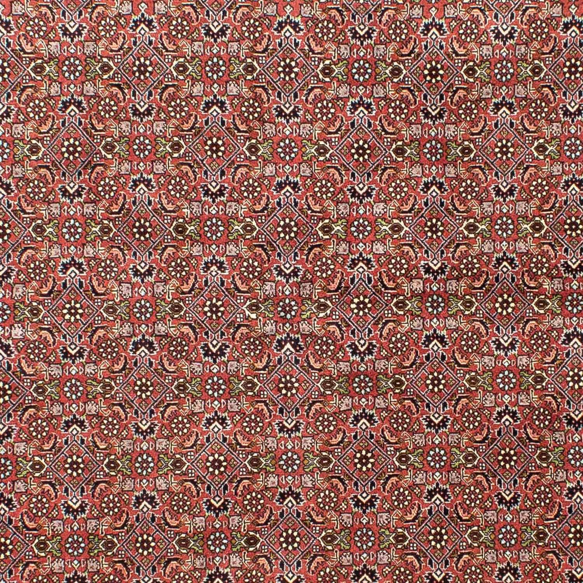 Alfombra persa - Bidjar - 251 x 172 cm - rojo claro