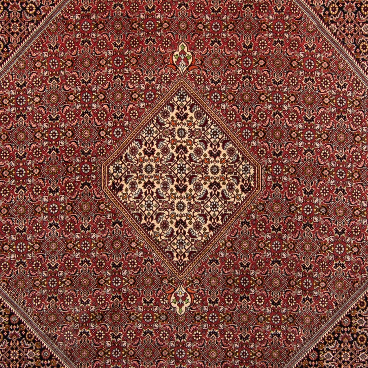 Alfombra persa - Bidjar - 338 x 250 cm - marrón