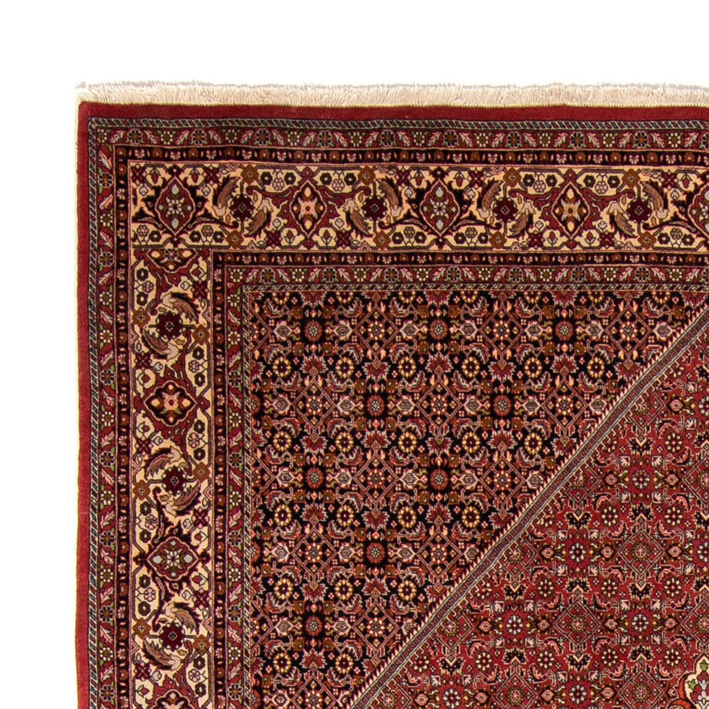 Bidjar Alfombra 338x250cm - Alfombra persa