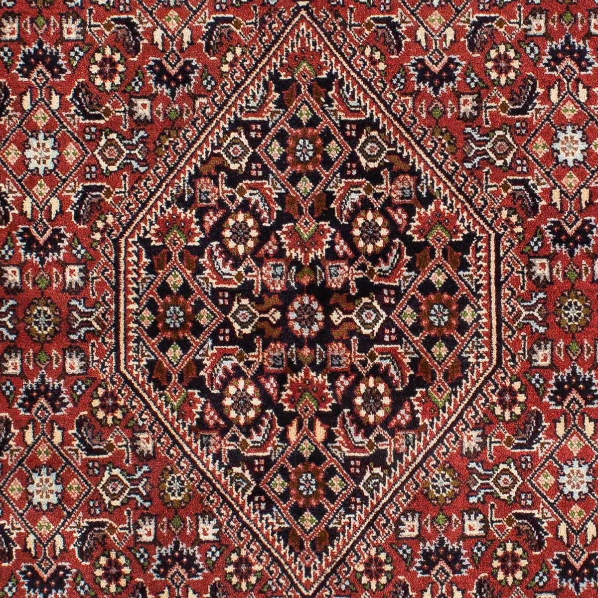 Alfombra persa - Bidjar - 228 x 139 cm - rojo