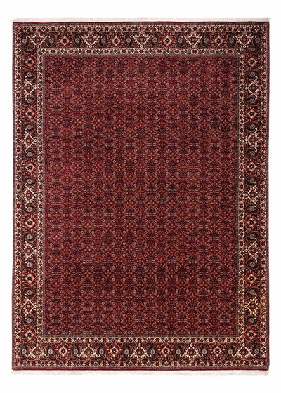 Bidjar - Zanjan Alfombra 250x350cm - Alfombra persa