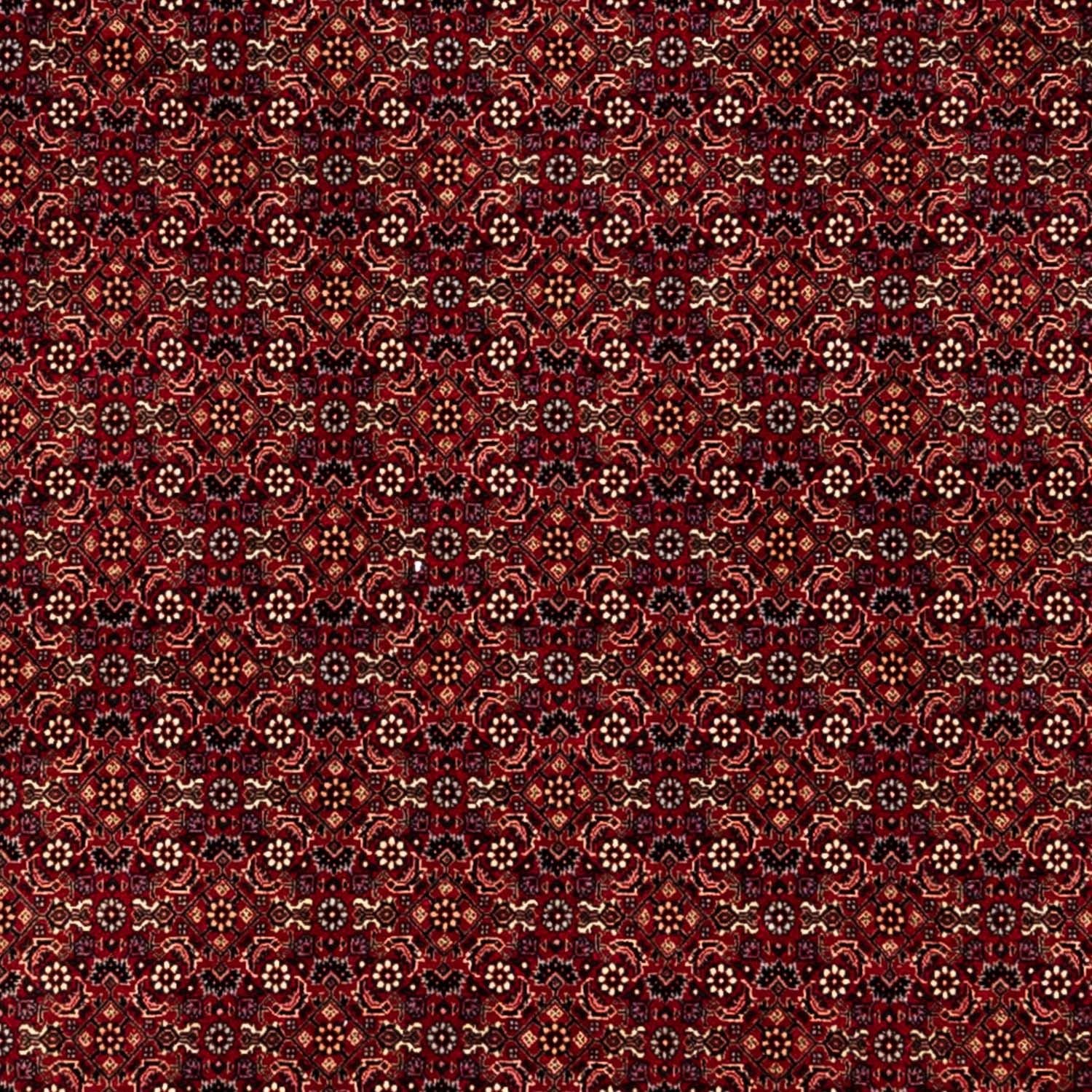 Alfombra persa - Bidjar - 350 x 250 cm - rojo