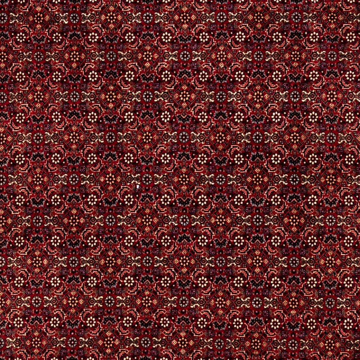 Alfombra persa - Bidjar - 350 x 250 cm - rojo