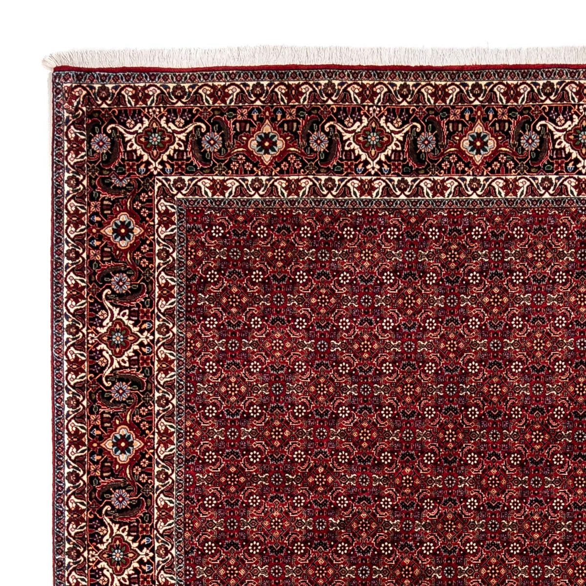 Bidjar - Zanjan Alfombra 250x350cm - Alfombra persa