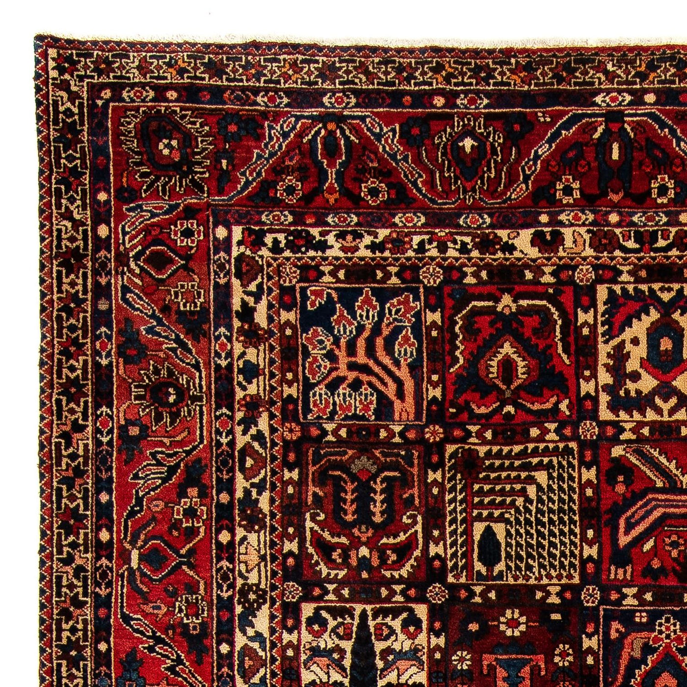Bakhtiari Alfombra 374x305cm - Alfombra persa