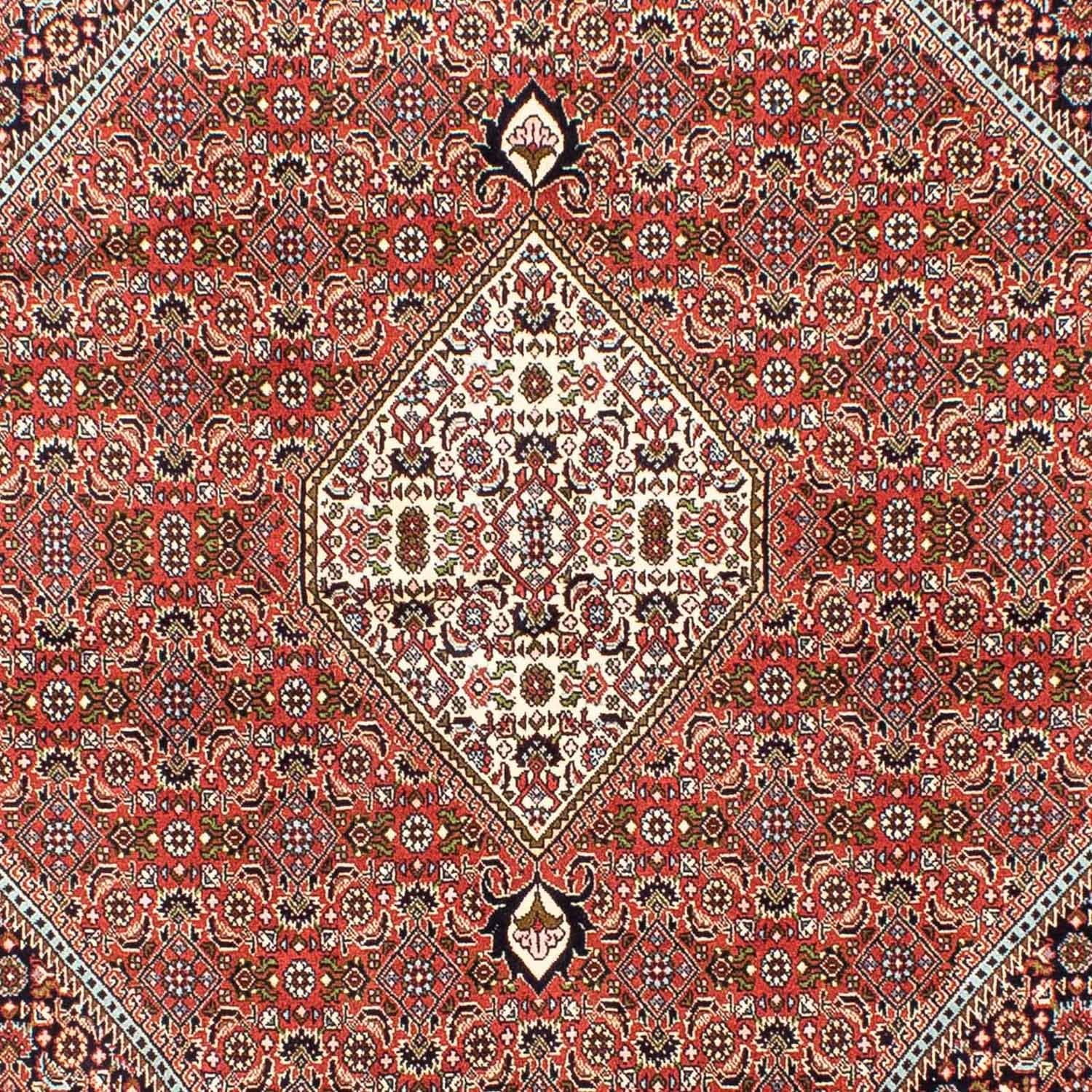 Alfombra persa - Bidjar - 253 x 174 cm - rojo claro