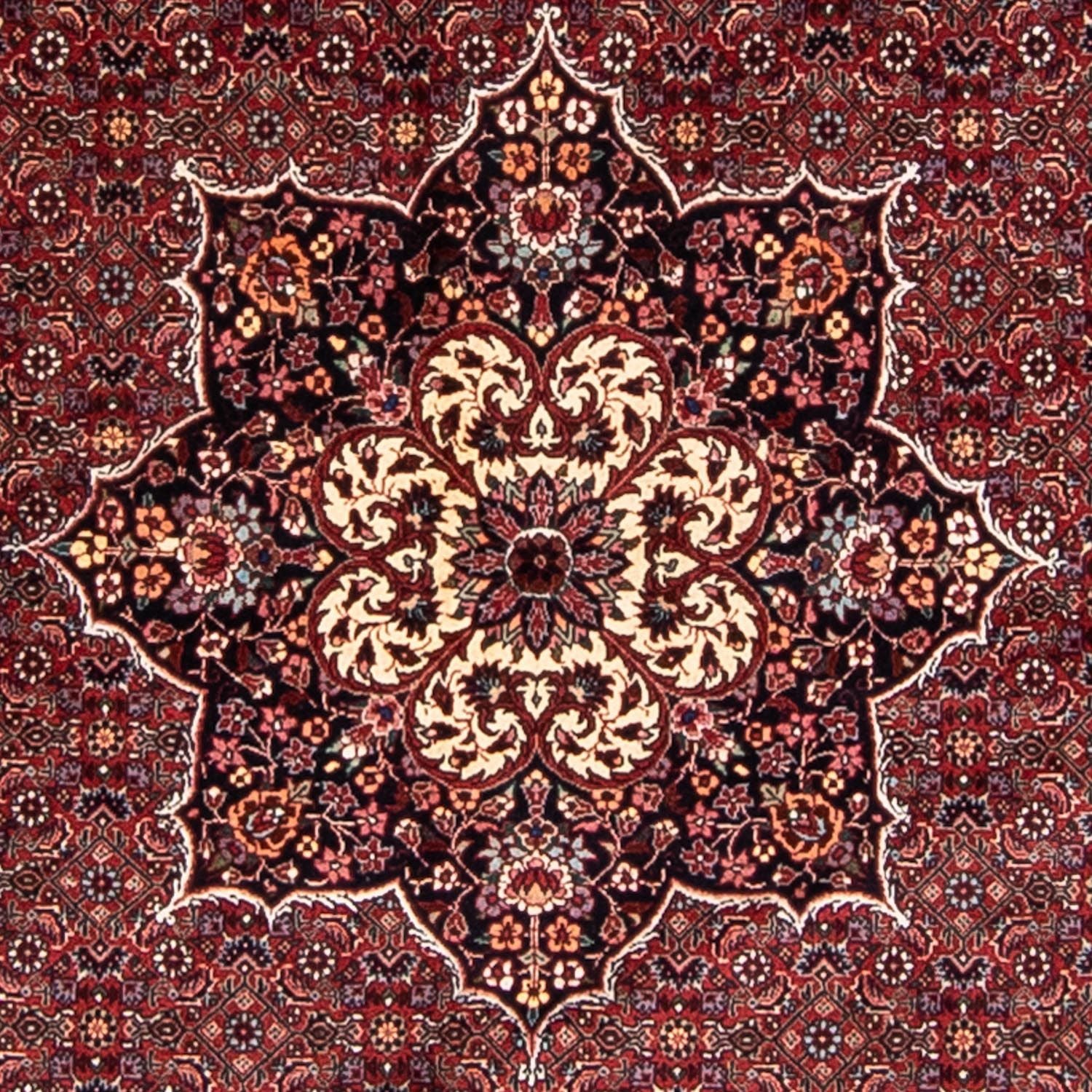 Alfombra persa - Bidjar redondo  - 205 x 205 cm - rojo oscuro