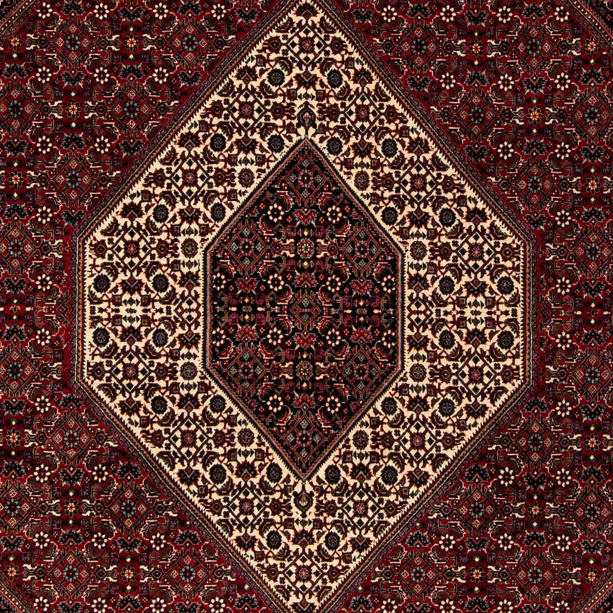 Alfombra persa - Bidjar - 251 x 203 cm - rojo oscuro