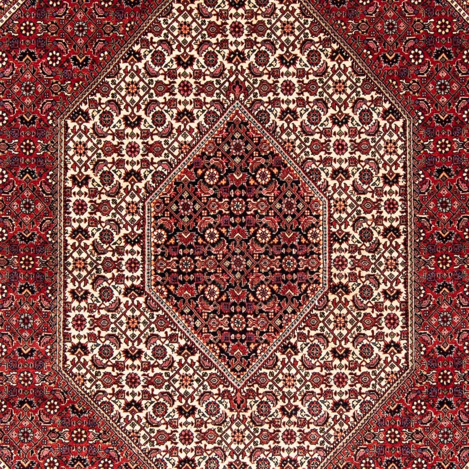 Alfombra persa - Bidjar - 242 x 170 cm - rojo