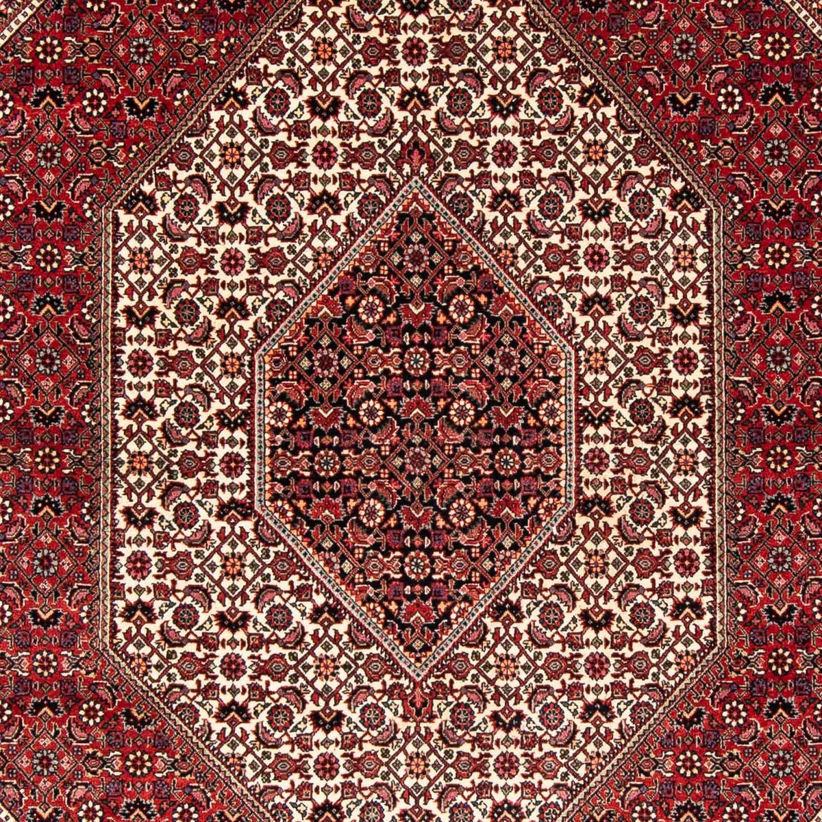 Alfombra persa - Bidjar - 242 x 170 cm - rojo