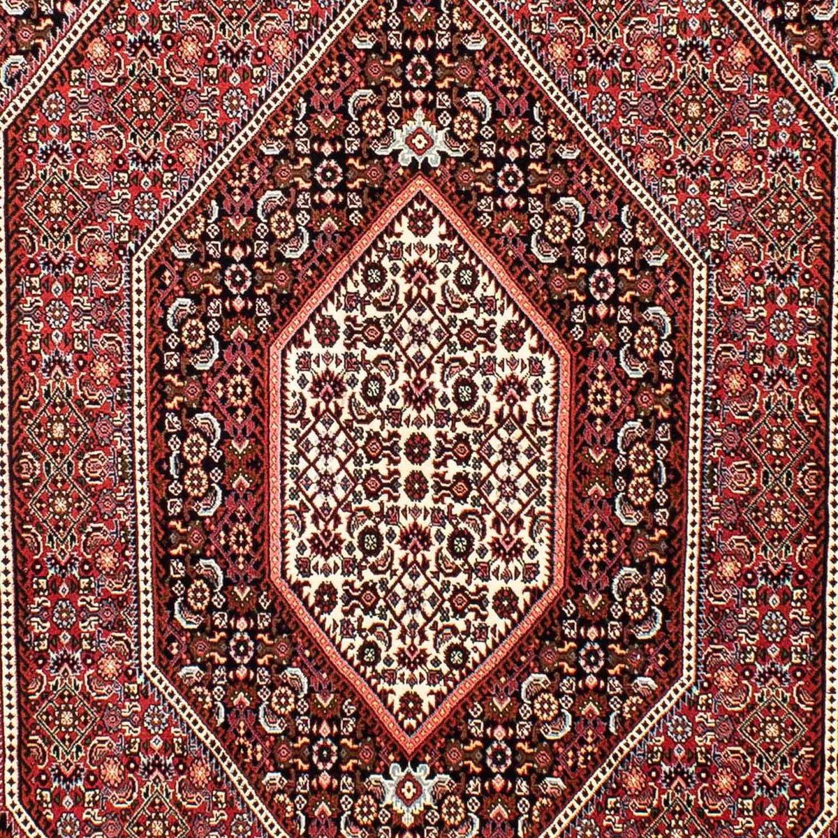 Alfombra persa - Bidjar - 257 x 162 cm - rojo claro