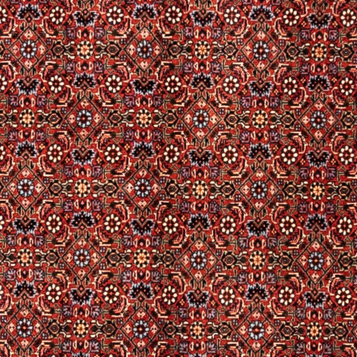 Alfombra persa - Bidjar - 363 x 248 cm - rojo