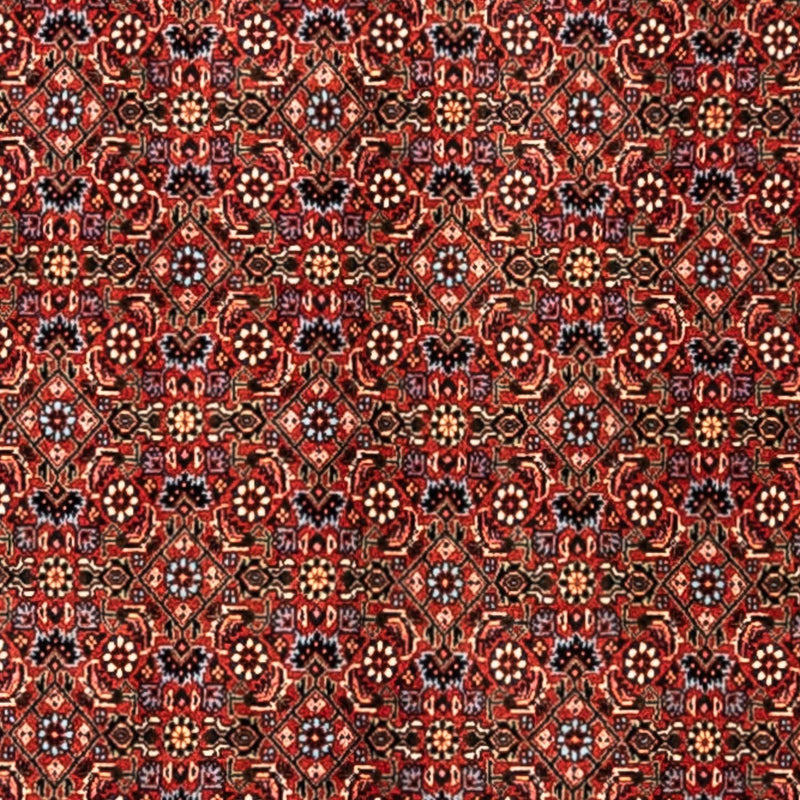 Alfombra persa - Bidjar - 363 x 248 cm - rojo