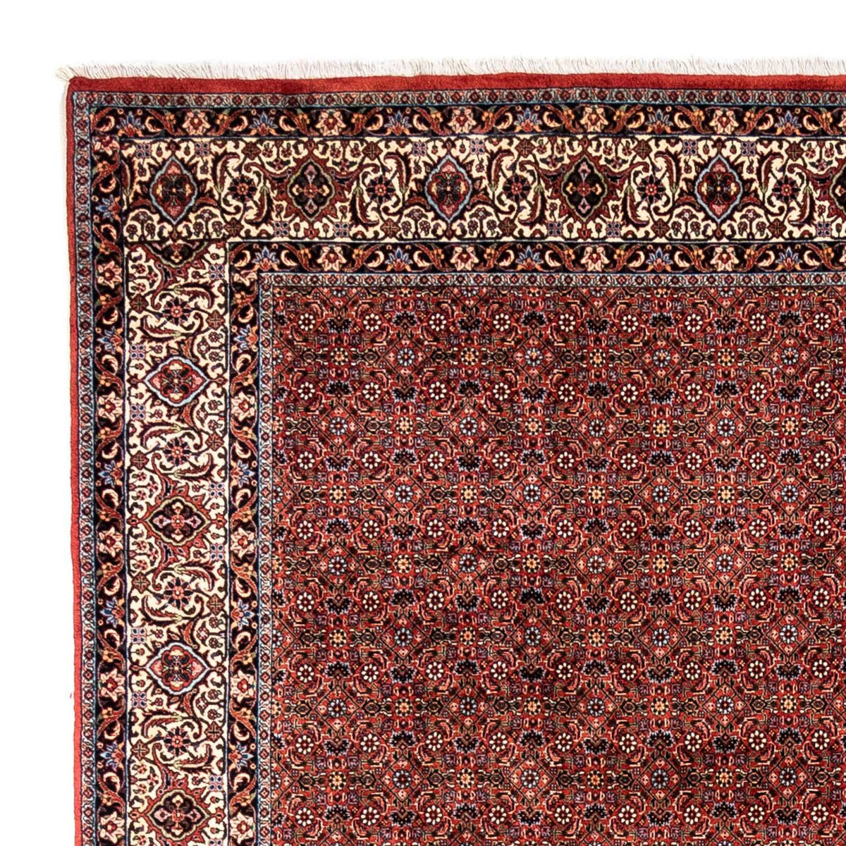 Alfombra persa - Bidjar - 363 x 248 cm - rojo