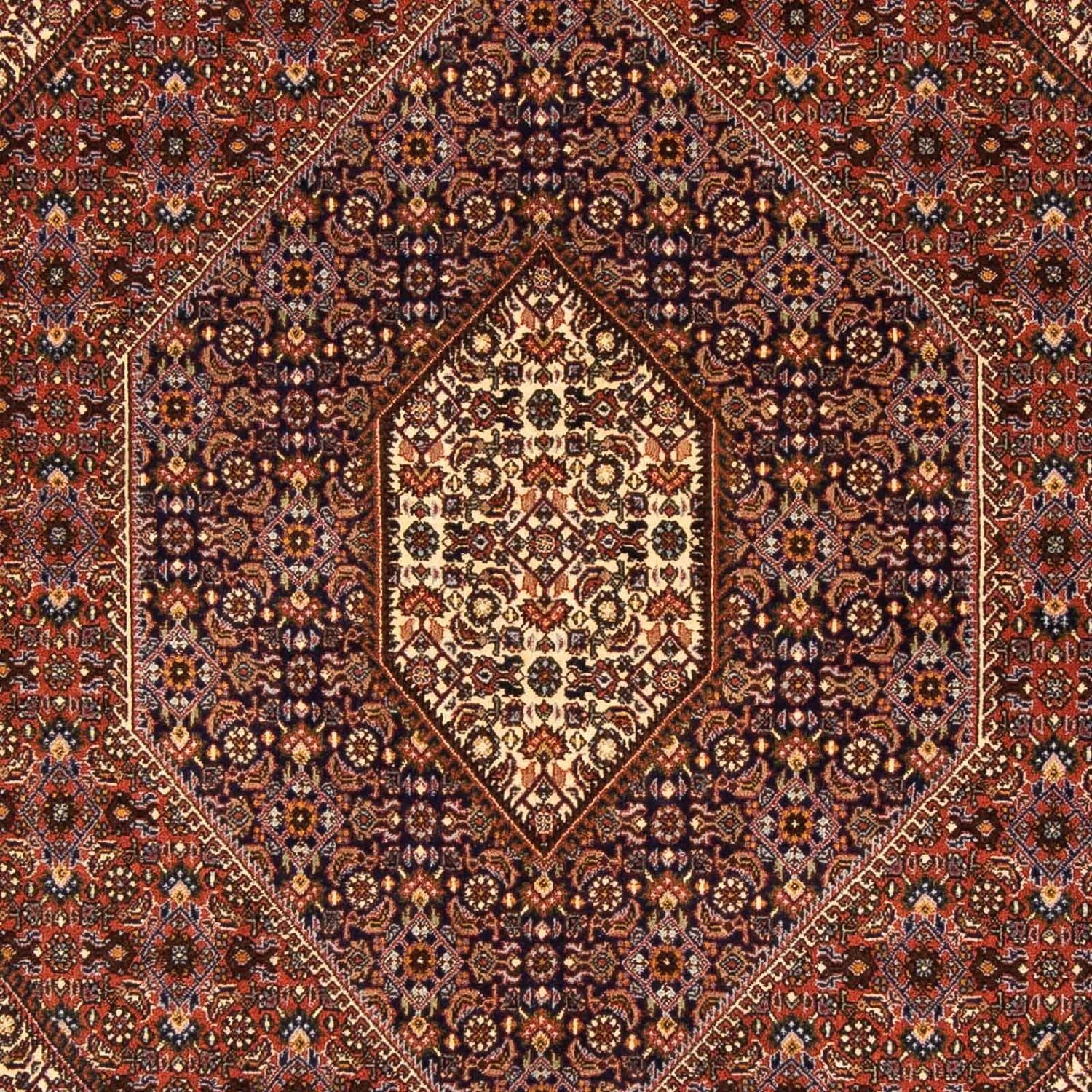 Alfombra persa - Bidjar - 237 x 170 cm - marrón