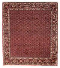 Alfombra persa - Bidjar - 288 x 256 cm - rojo oscuro