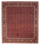 Bidjar Alfombra 256x288cm - Alfombra persa