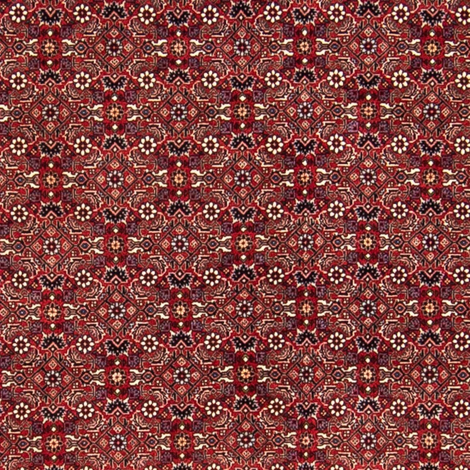 Alfombra persa - Bidjar - 288 x 256 cm - rojo oscuro