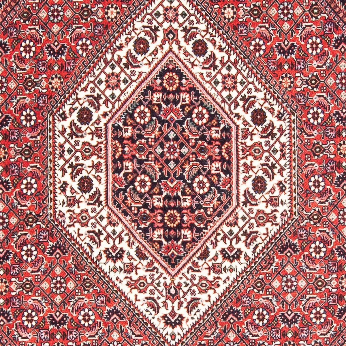 Alfombra persa - Bidjar - 175 x 112 cm - rojo