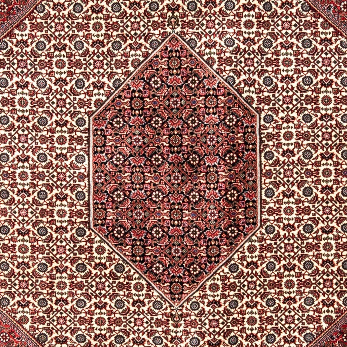Alfombra persa - Bidjar - 343 x 253 cm - rojo