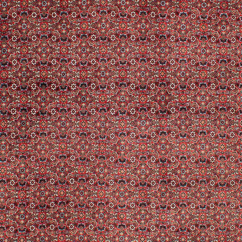 Alfombra persa - Bidjar - 290 x 203 cm - rojo oscuro
