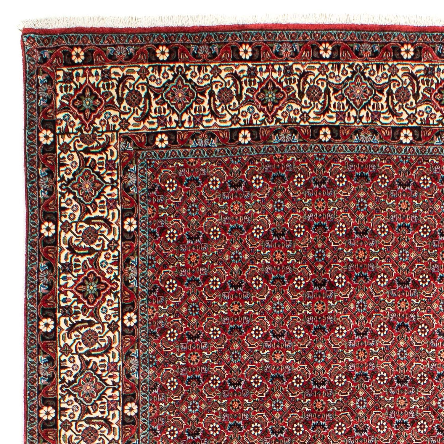 Alfombra persa - Bidjar - 290 x 203 cm - rojo oscuro
