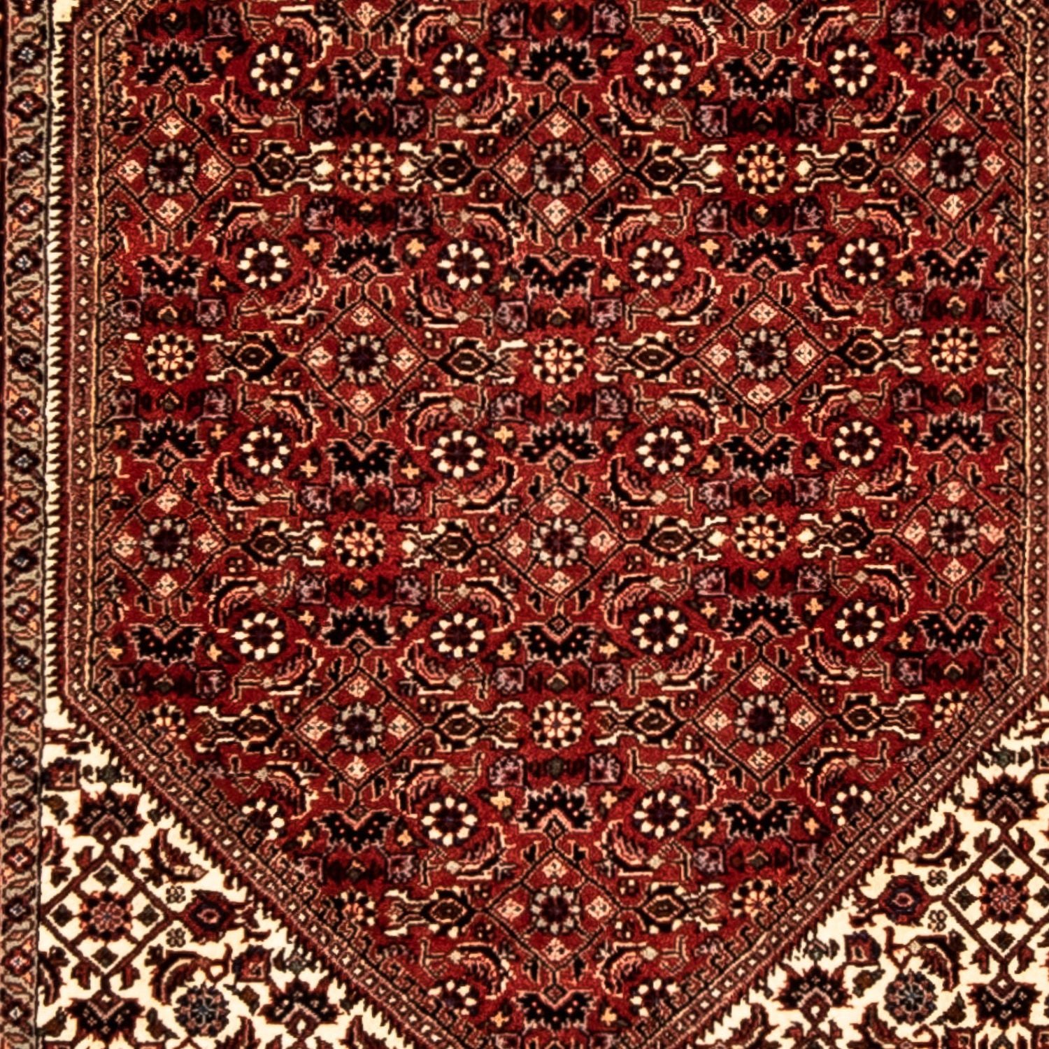 Alfombra de pasillo Alfombra persa - Bidjar - 313 x 82 cm - multicolor