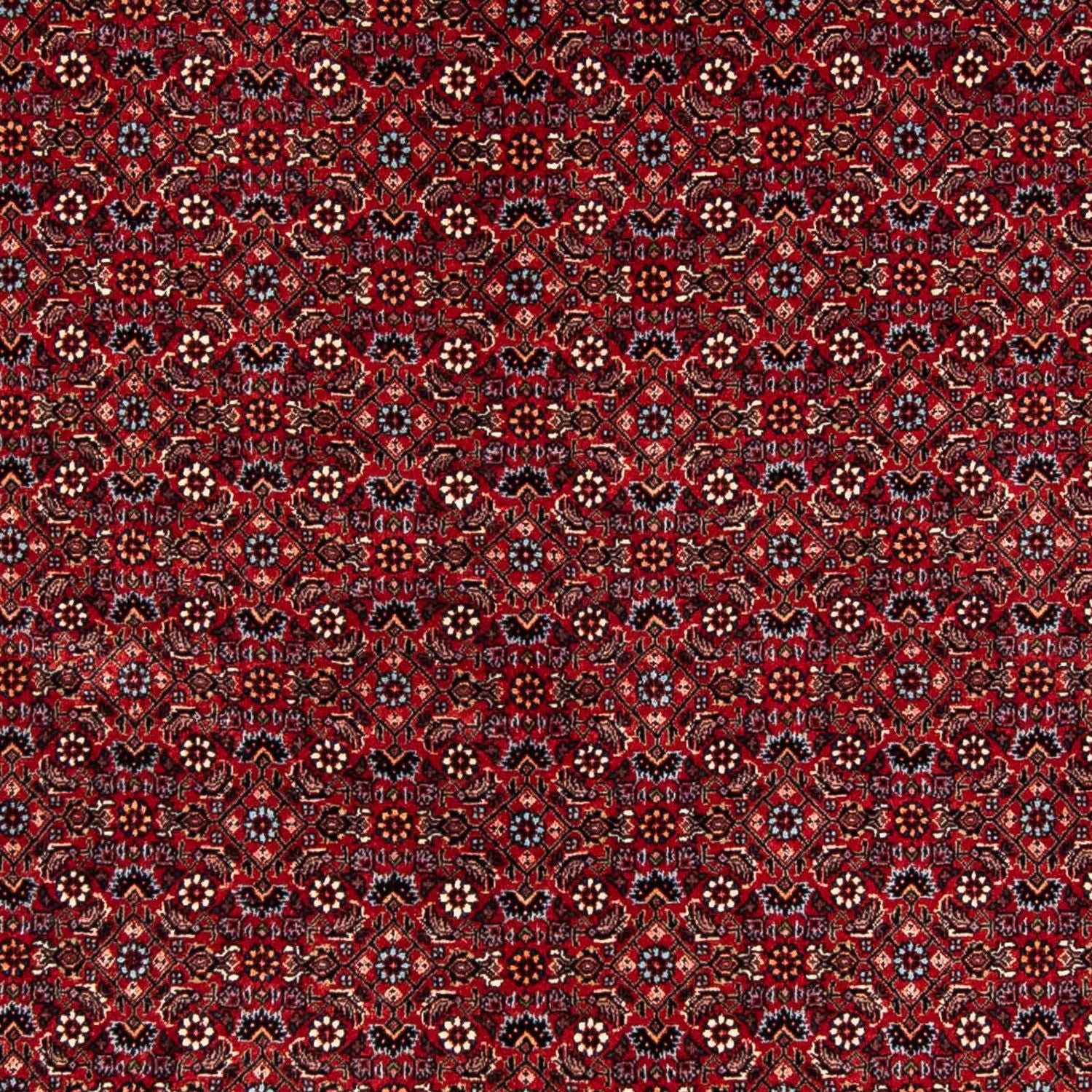 Alfombra persa - Bidjar - 243 x 172 cm - rojo oscuro