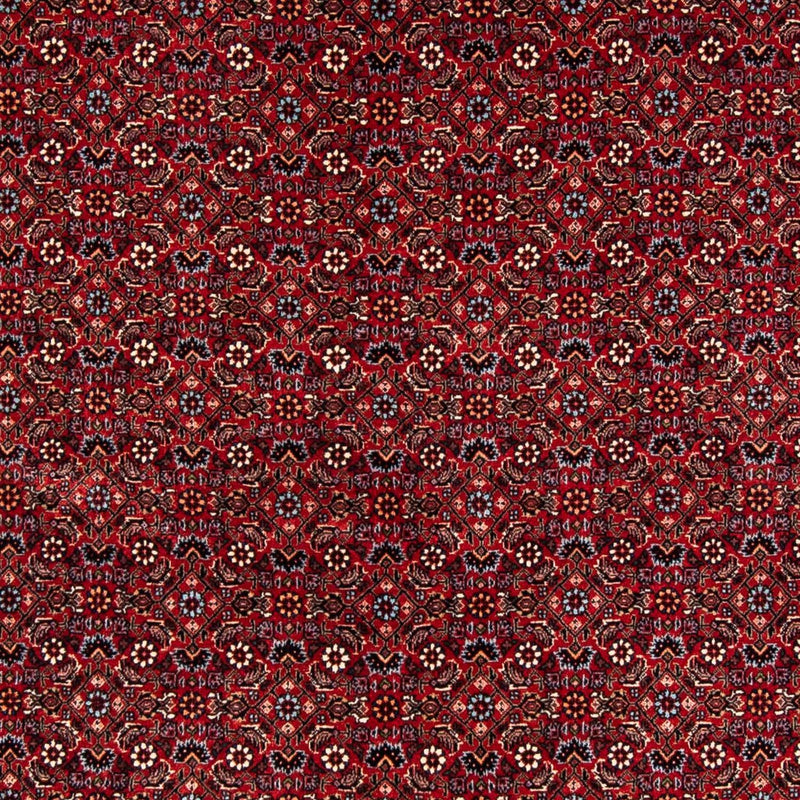 Alfombra persa - Bidjar - 243 x 172 cm - rojo oscuro