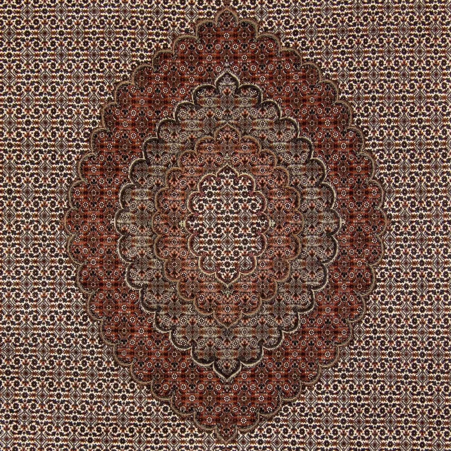 Alfombra persa - Tabriz - 350 x 250 cm - marrón oscuro