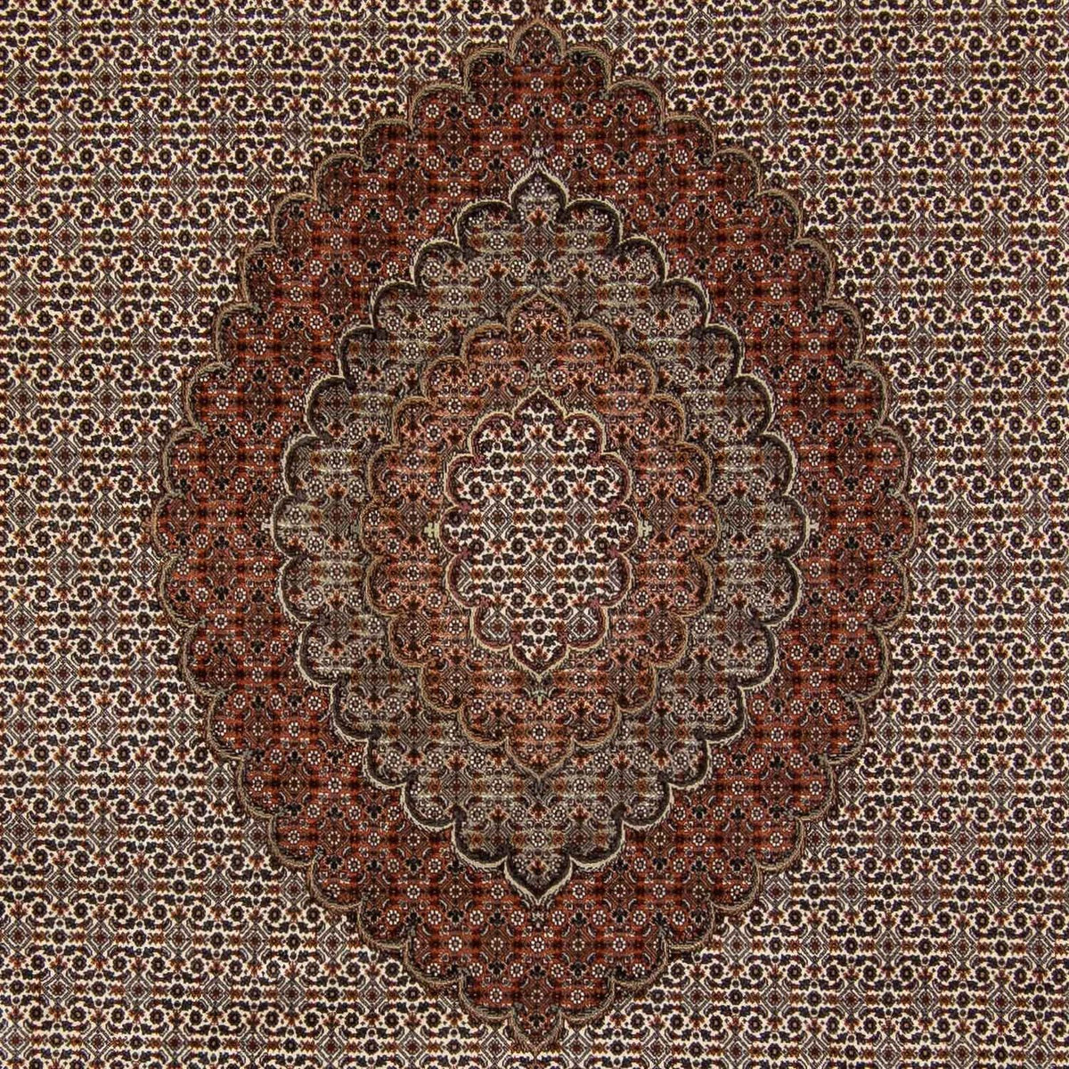 Alfombra persa - Tabriz - 350 x 250 cm - marrón oscuro