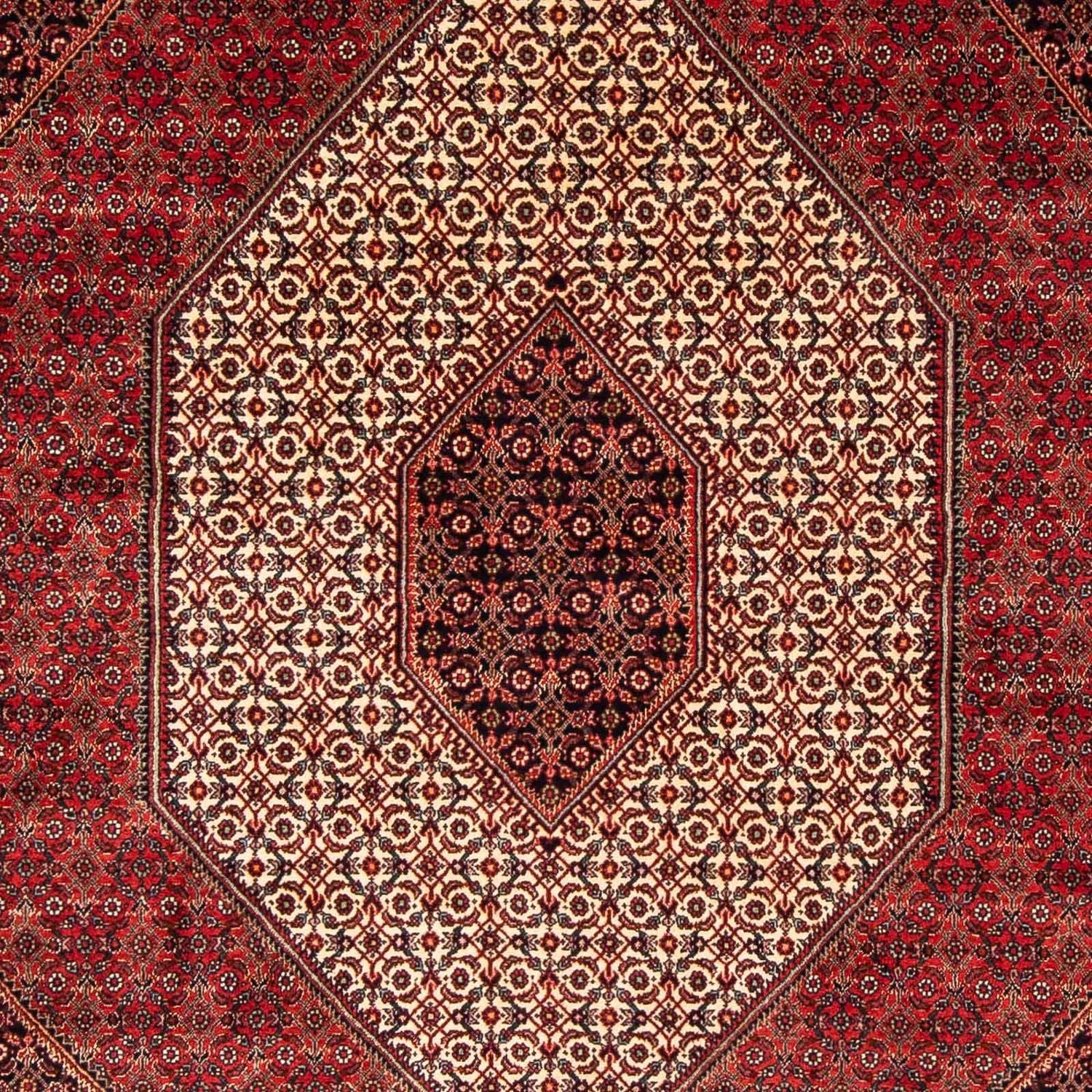 Alfombra persa - Bidjar - 248 x 171 cm - rojo oscuro