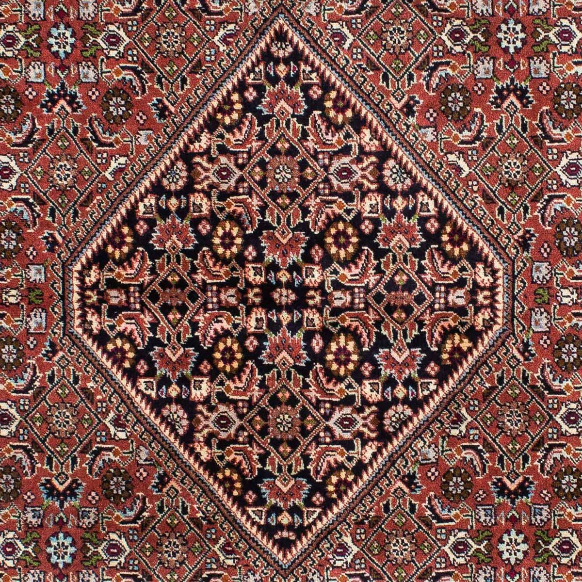 Alfombra persa - Bidjar - 229 x 143 cm - rojo