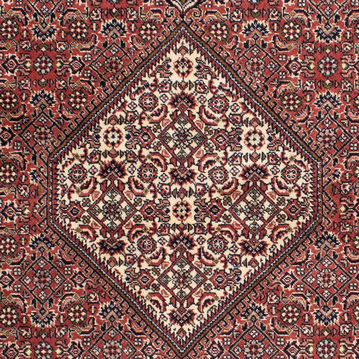 Alfombra persa - Bidjar - 225 x 143 cm - rojo