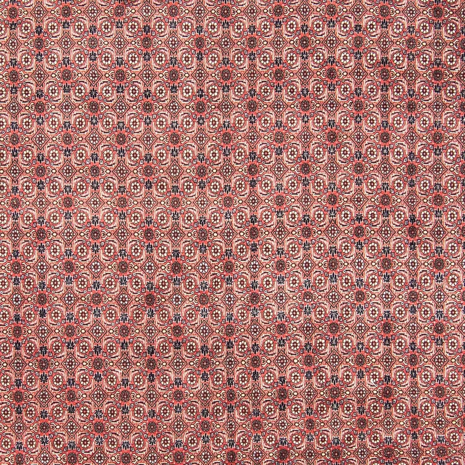 Alfombra persa - Bidjar - 308 x 254 cm - rojo claro