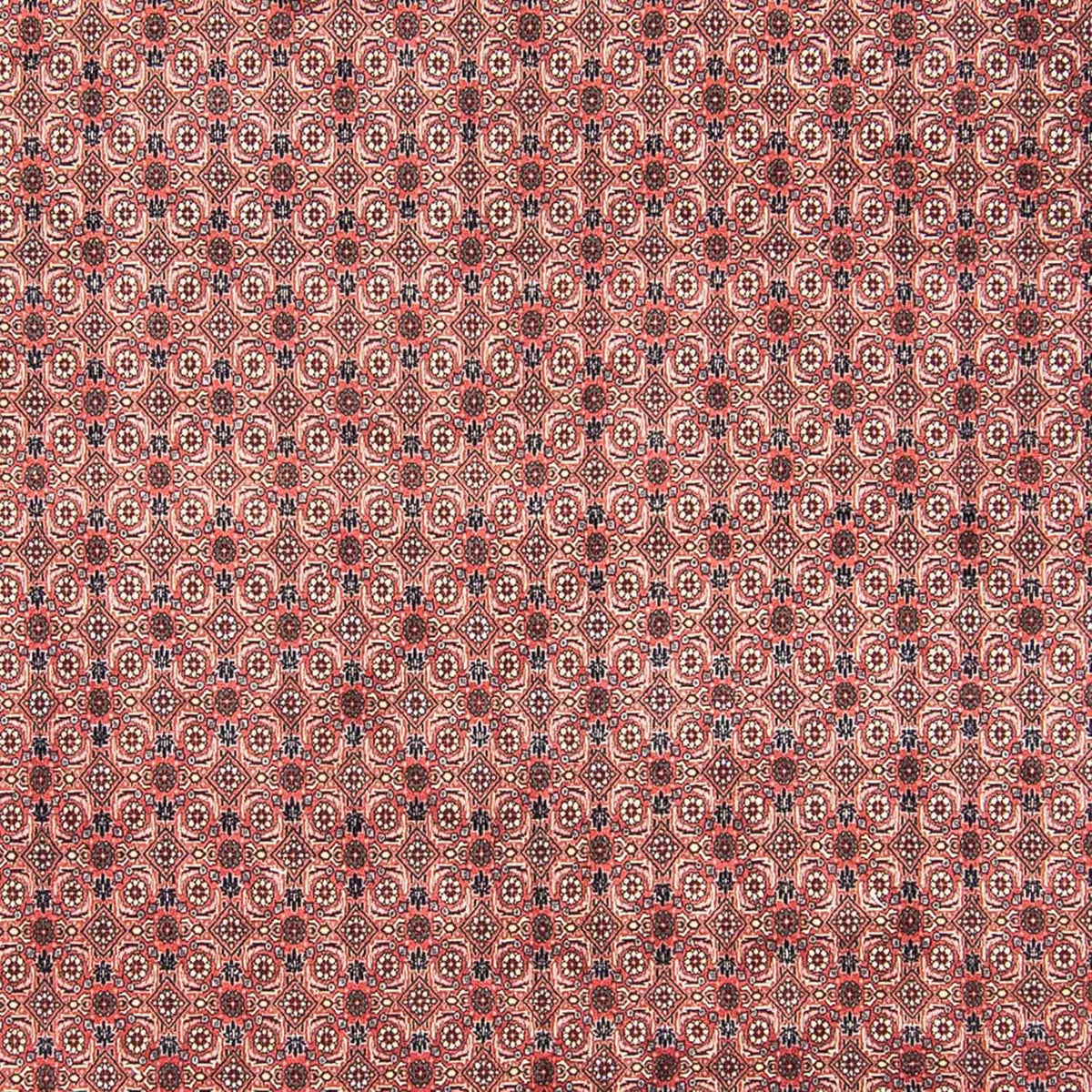 Alfombra persa - Bidjar - 308 x 254 cm - rojo claro