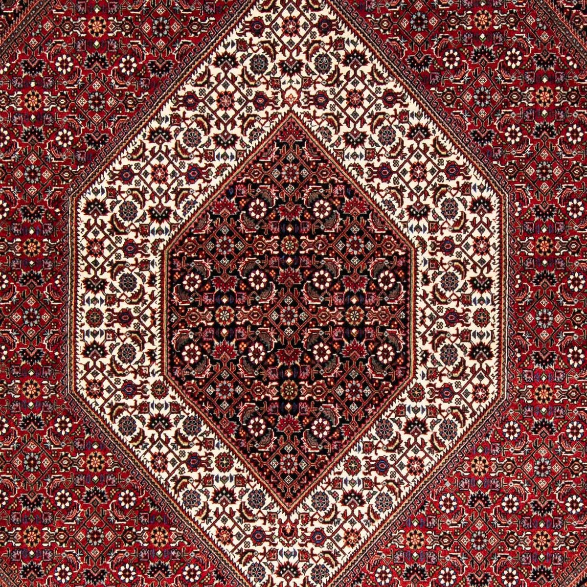 Alfombra persa - Bidjar - 229 x 170 cm - rojo