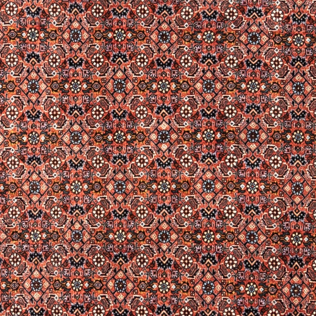 Alfombra persa - Bidjar - 288 x 206 cm - rojo