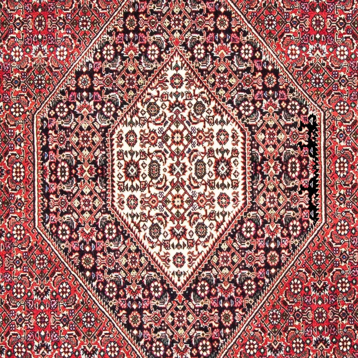 Alfombra persa - Bidjar - 185 x 110 cm - rojo