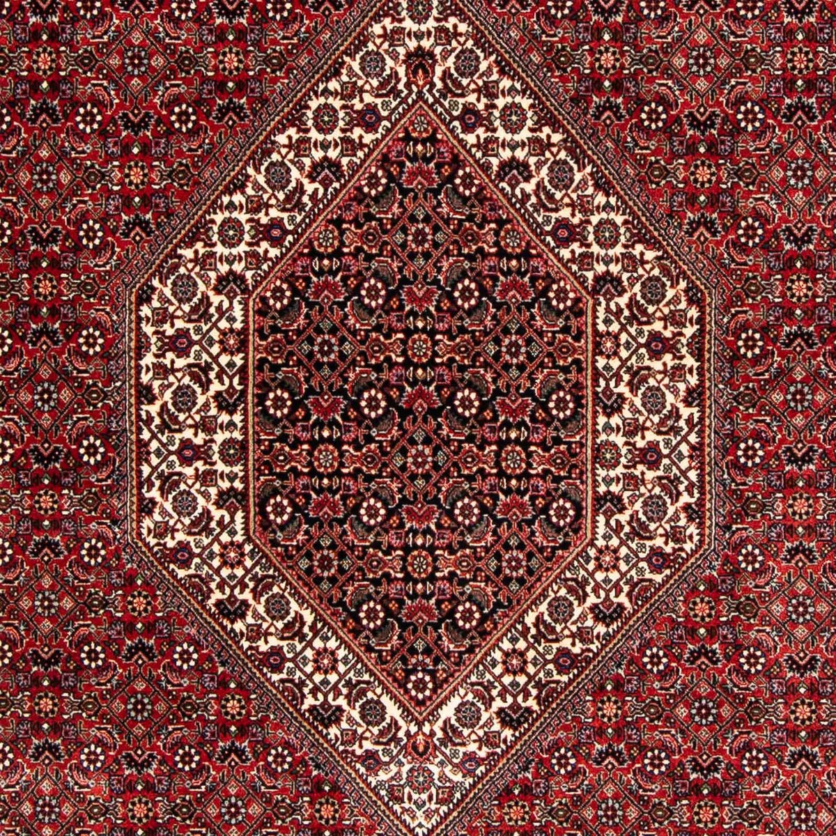 Alfombra persa - Bidjar - 250 x 170 cm - rojo oscuro