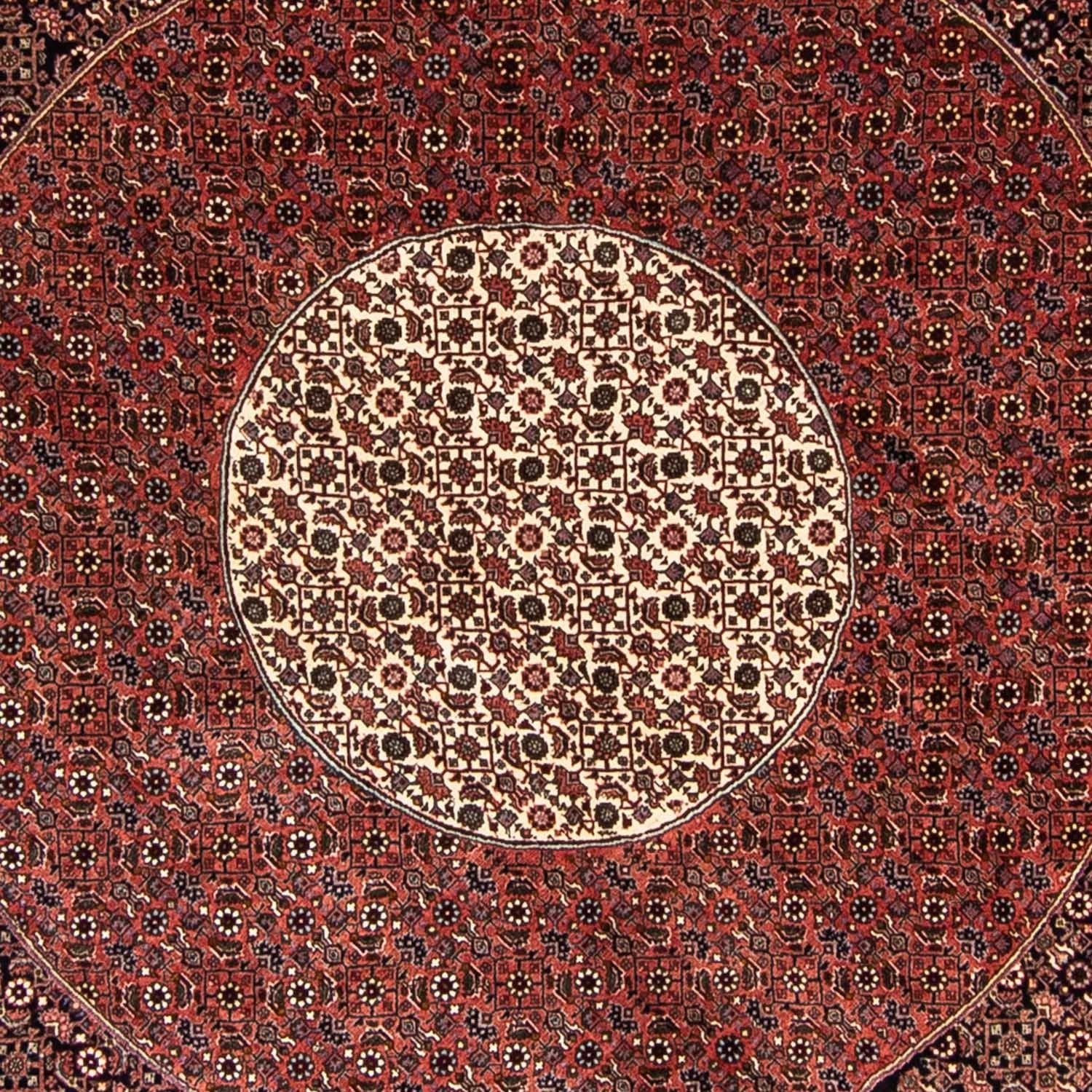 Alfombra persa - Bidjar redondo  - 260 x 260 cm - rojo oscuro