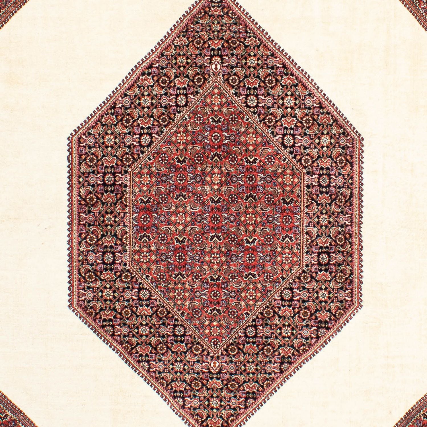 Alfombra persa - Bidjar - 300 x 200 cm - beige